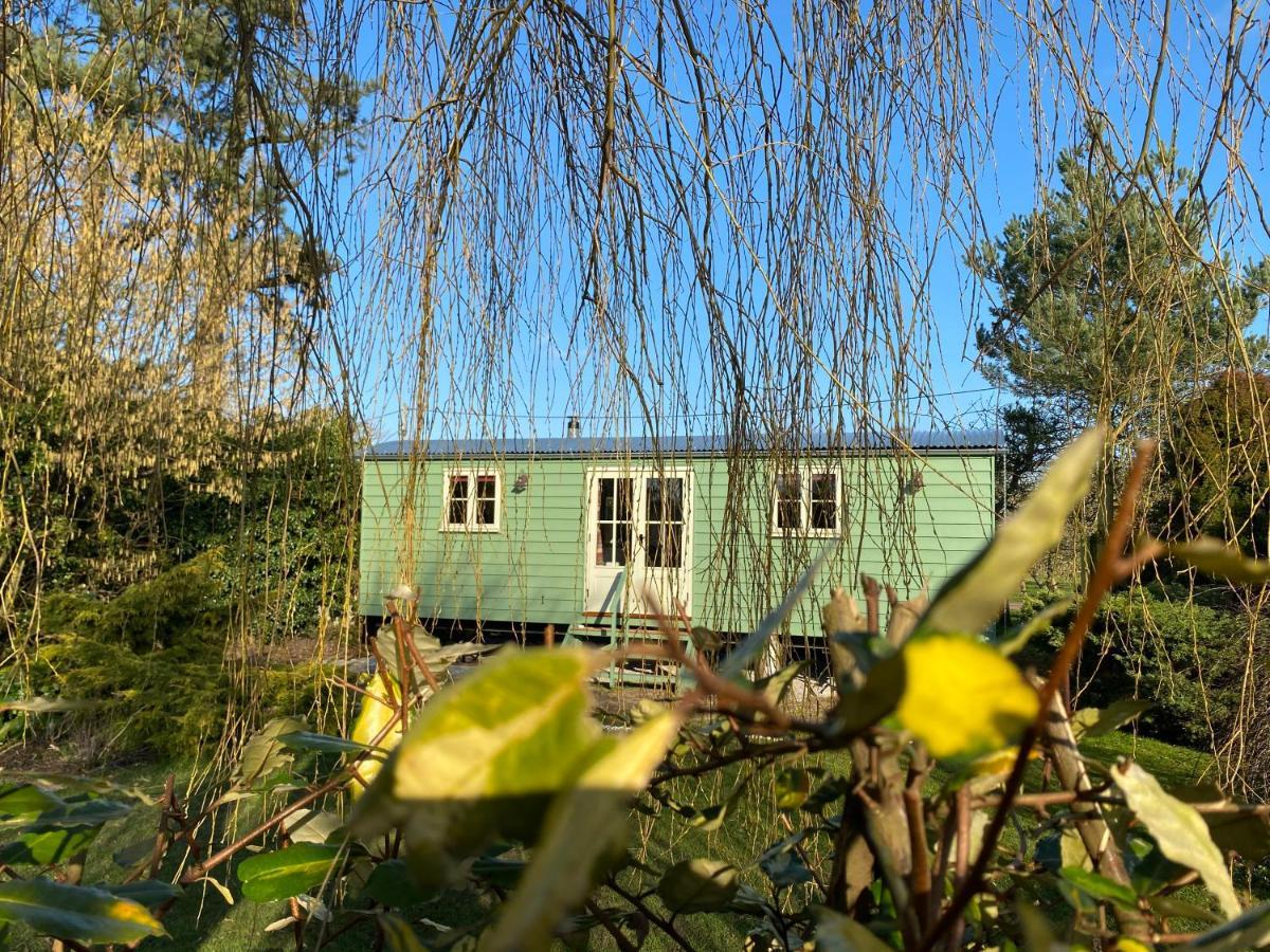 Holly Lodge Boutique B&B Thursford Exterior foto